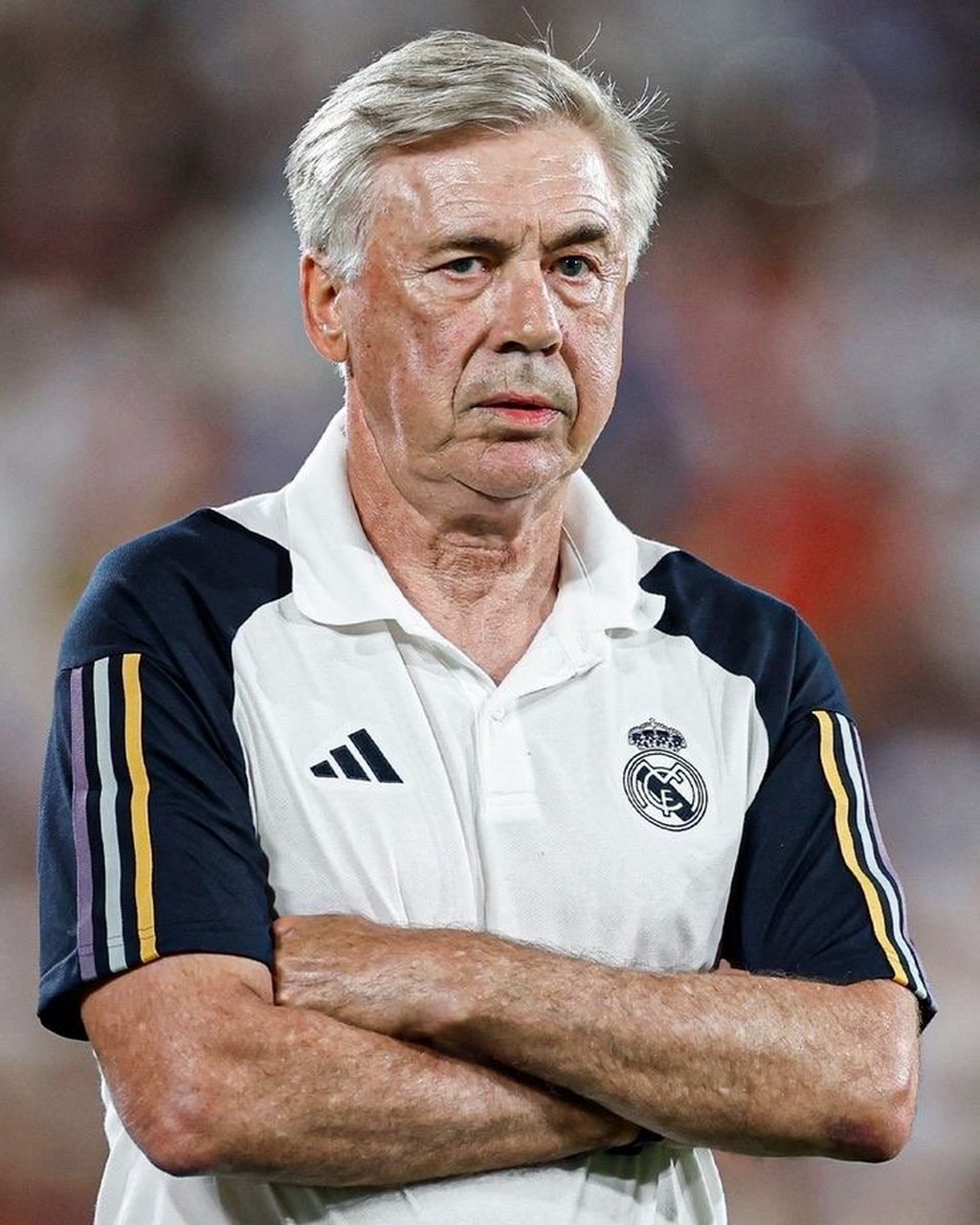 包含赛前专访：皇家马德里主帅谈世俱杯目标的词条