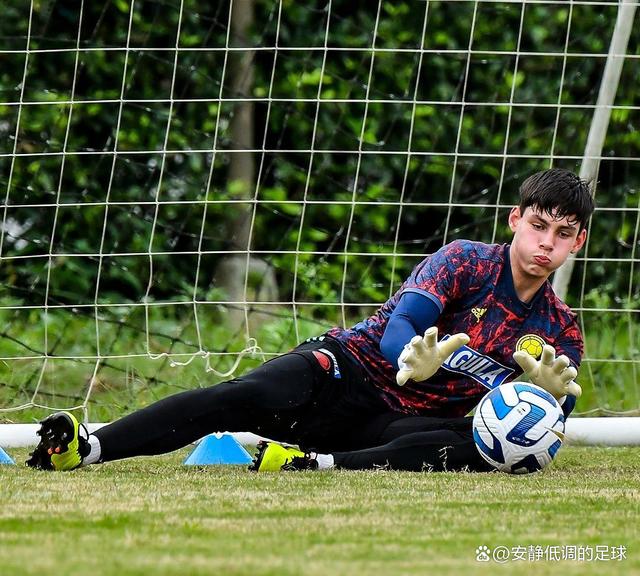 关于沃尔夫斯堡小将进步迅速，球队未来潜力无限备受看好的信息