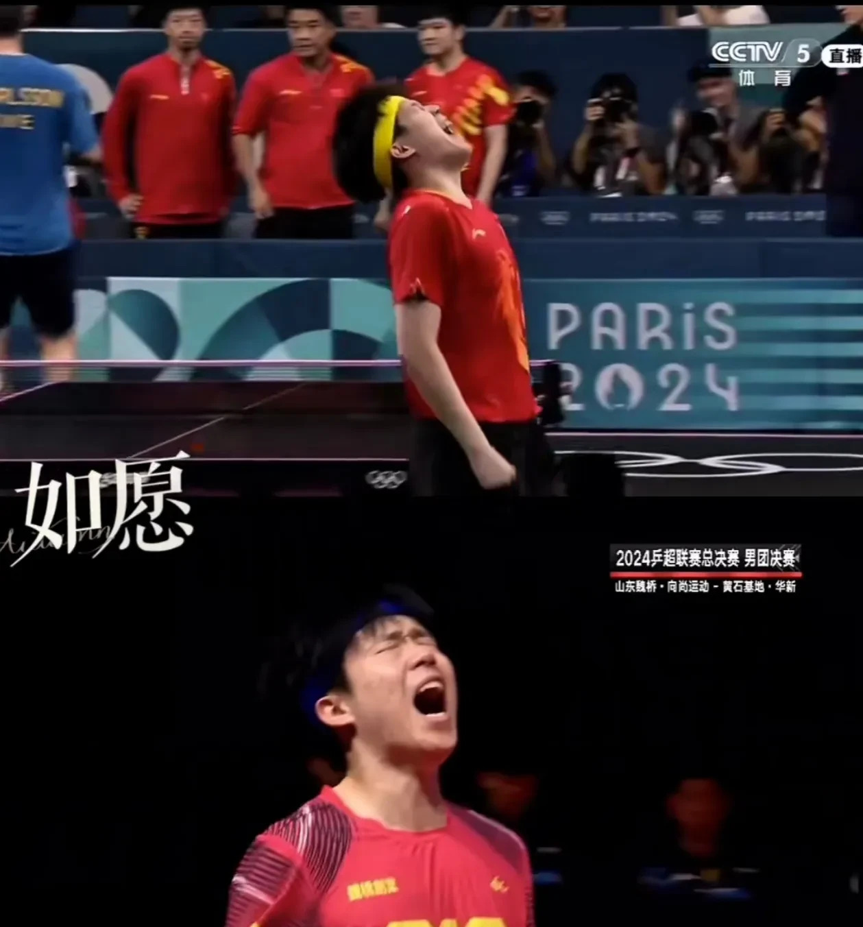 雄狮主场大胜赢得球迷掌声