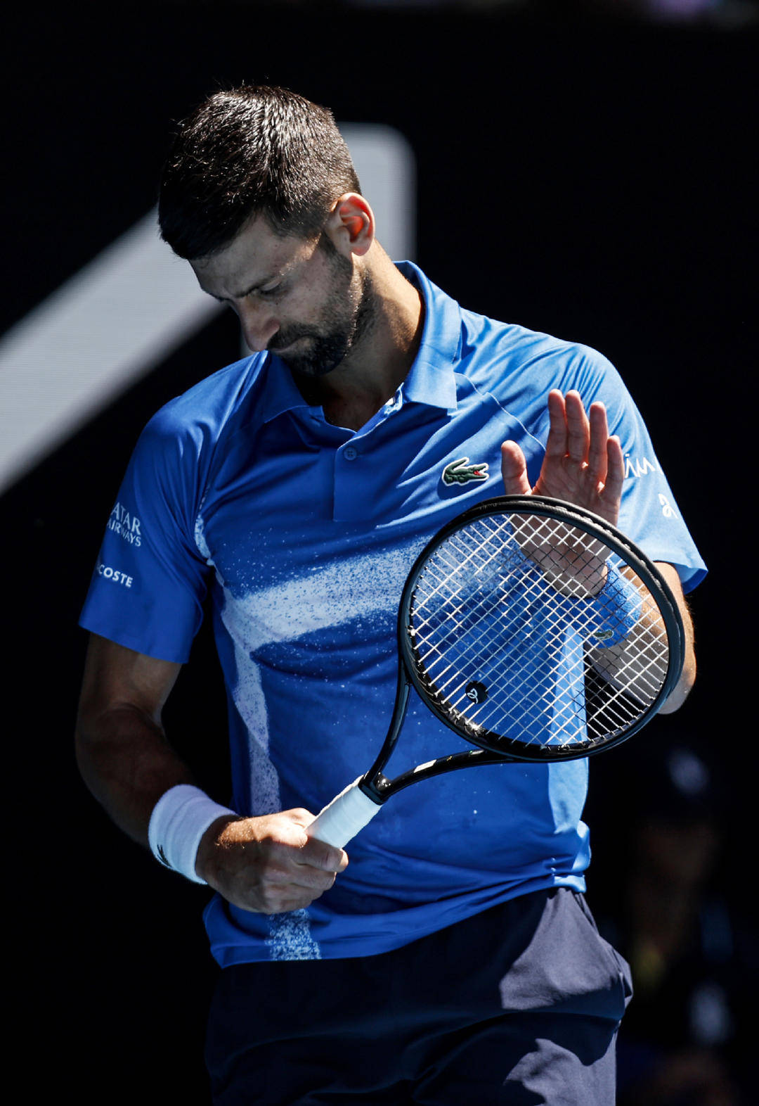 澳网轻取温网,穆雷带队取胜 澳网轻取温网,穆雷带队取胜