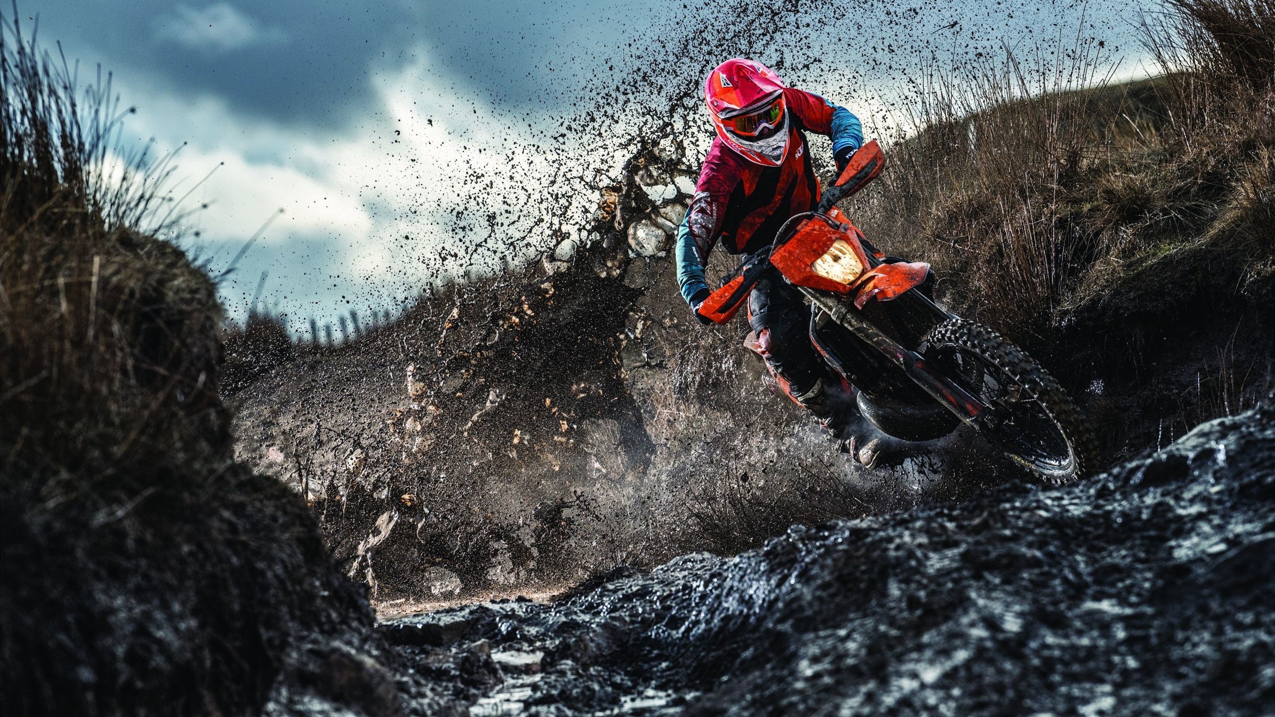 棋盘上的皇后，卡瓦哈尔如何以一步之棋带动玻利维亚全盘节奏击败爱尔兰