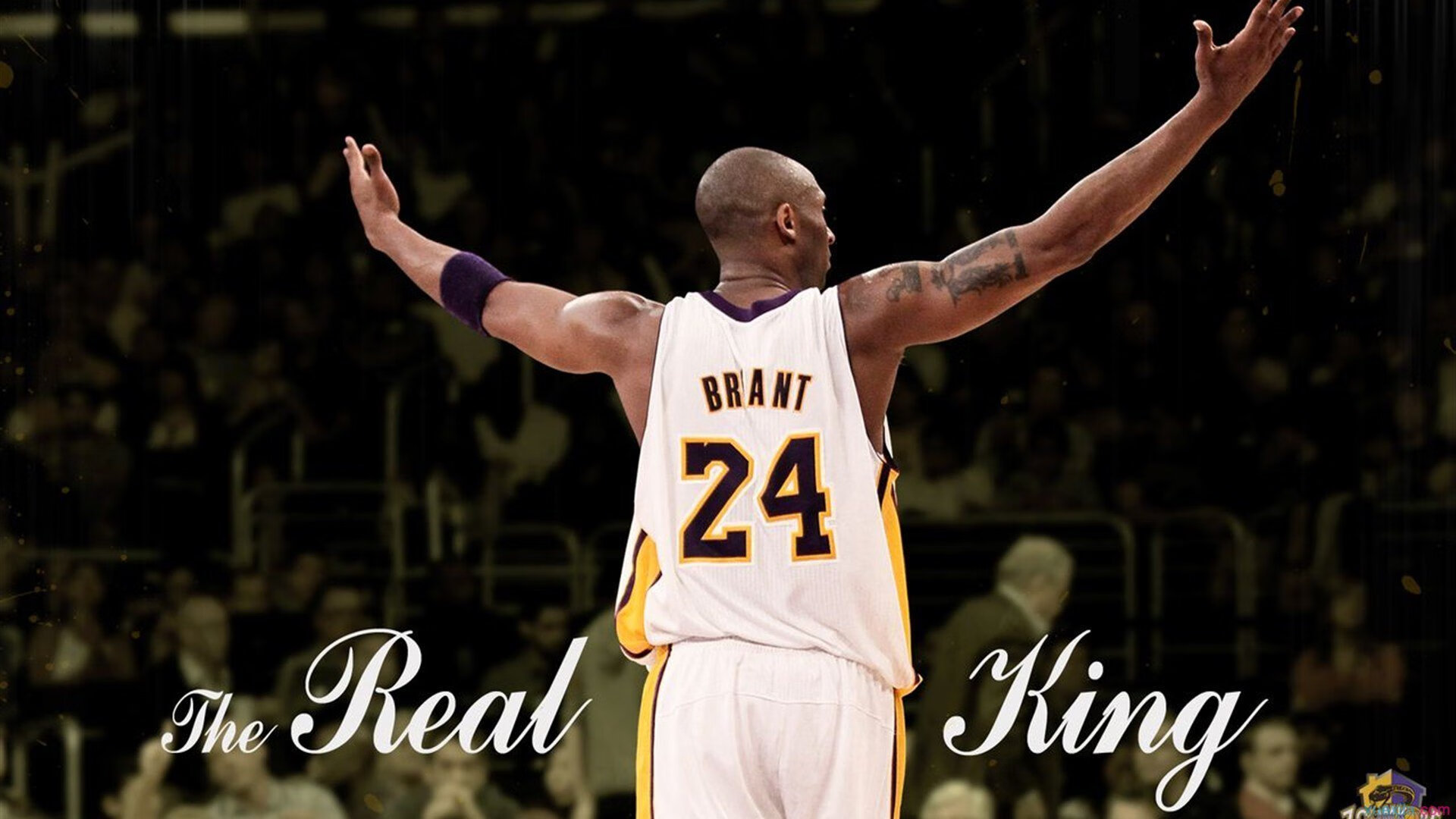 开云体育在线-暴力美学！戈贝尔统治油漆区 芝加哥公牛屠城式击溃浙江队