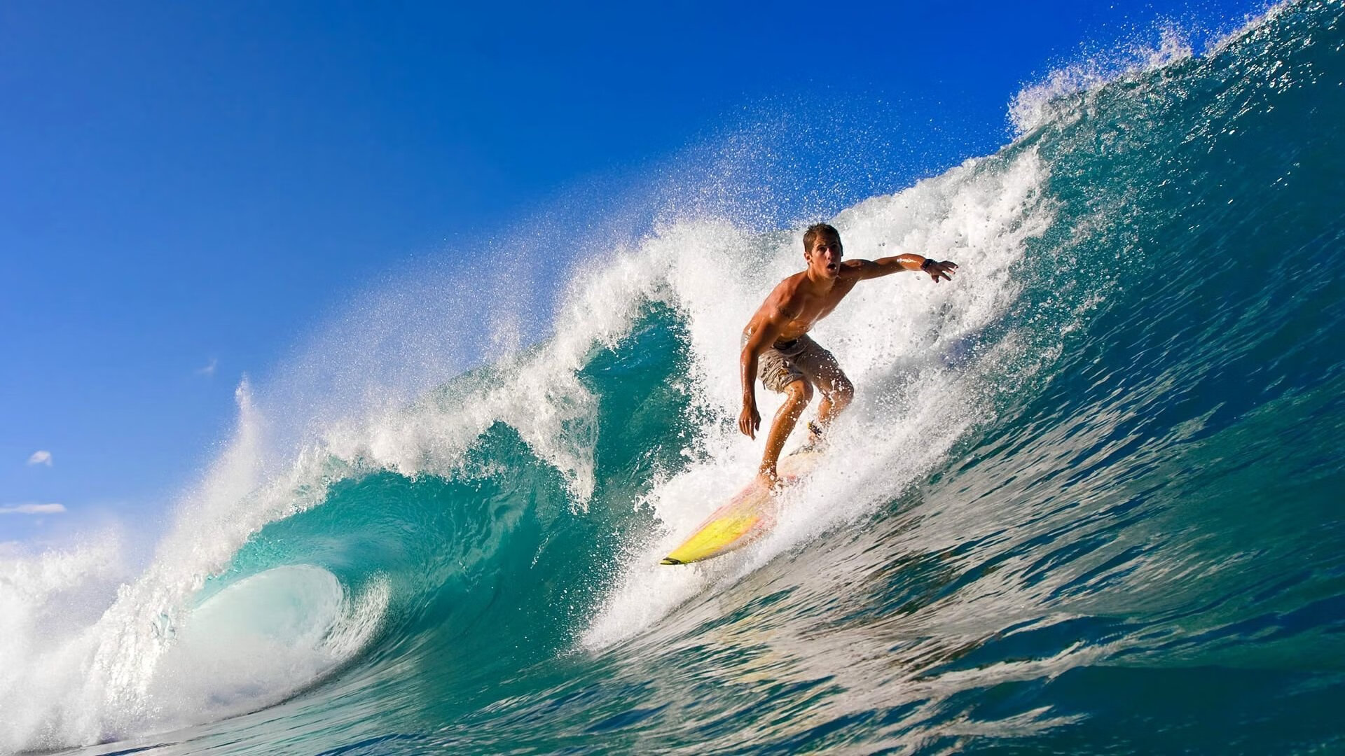 开云体育中国-逆转公式，一个与约基奇有关的解